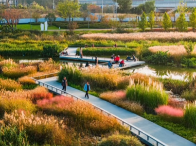 秋光為伴，我們與張村河共繪新景